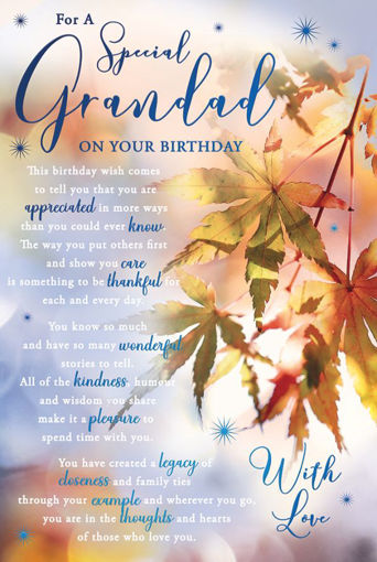 Picture of SPECIAL GRANDAD BIRTHDAY CARD